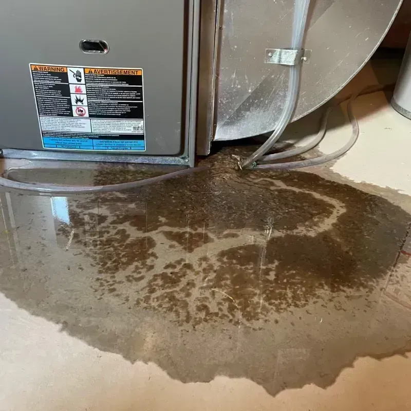 Appliance Leak Cleanup in Montgomery City, MO